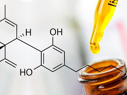 Sostanze cancerogene negli estratti al CBD europei: lo studio dell&amp;#039;ICCI