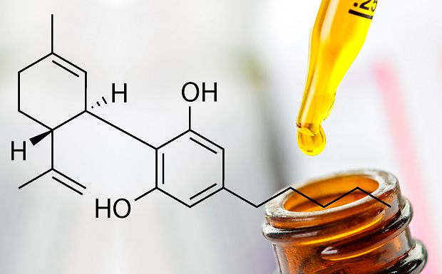 Sostanze cancerogene negli estratti al CBD europei: lo studio dell&#039;ICCI