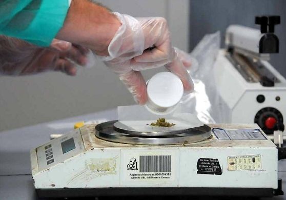 Multe alle farmacie ed imposizione del prezzo di vendita: chi vuole affossare la cannabis terapeutica?