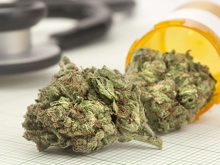 Cannabis: a Trento l&amp;#039;azienda sanitaria rimborserà i farmacisti