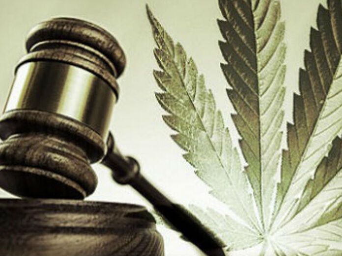 Cannabis: il testo di legge riguarderà solo la cannabis terapeutica