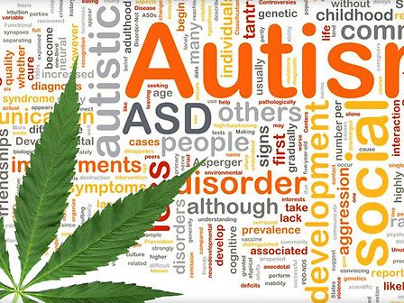 Israele: studi in corso sulla cannabis come aiuto ai bambini autistici