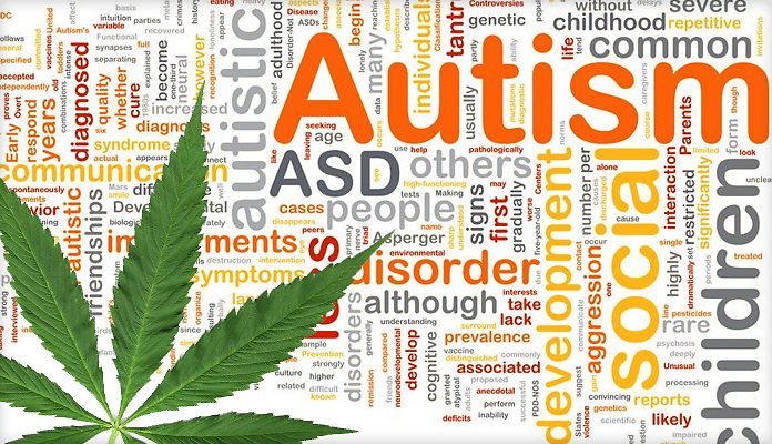 Israele: studi in corso sulla cannabis come aiuto ai bambini autistici