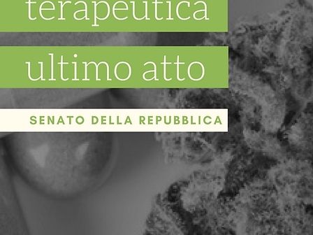 Legge sulla cannabis: ultimo atto in Senato, ci saranno anche i pazienti