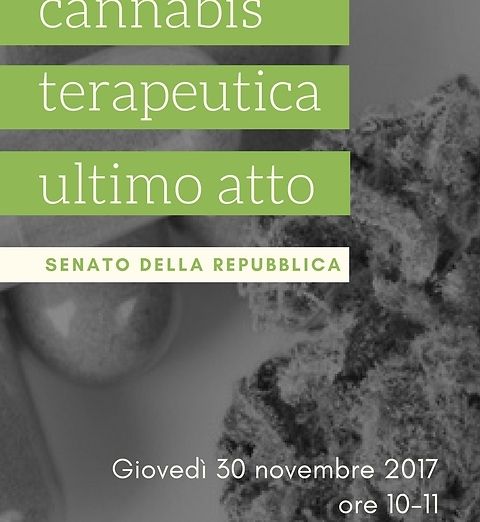 Legge sulla cannabis: ultimo atto in Senato, ci saranno anche i pazienti