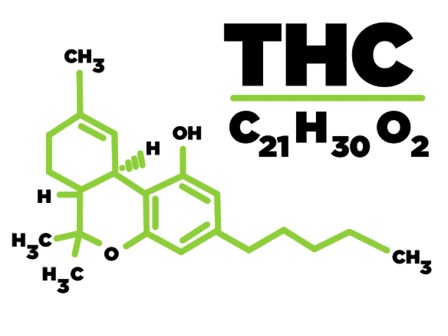 Il THC potrebbe essere efficace nel trattamento dell&amp;#039;apnea notturna: studio clinico