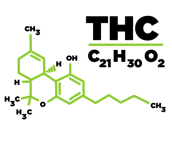 Il THC potrebbe essere efficace nel trattamento dell&#039;apnea notturna: studio clinico