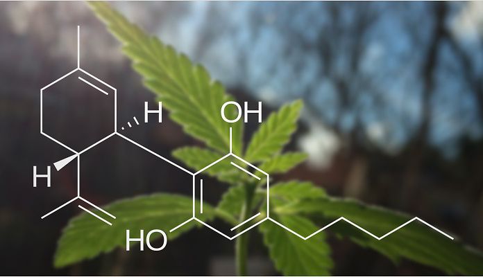 Il CBD può proteggere dagli eventuali rischi del THC