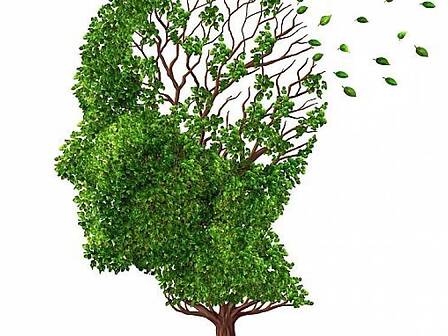 L&amp;#039;attivazione dei recettori cannabinoidi per recuperare funzioni cognitive nell&amp;#039;Alzheimer