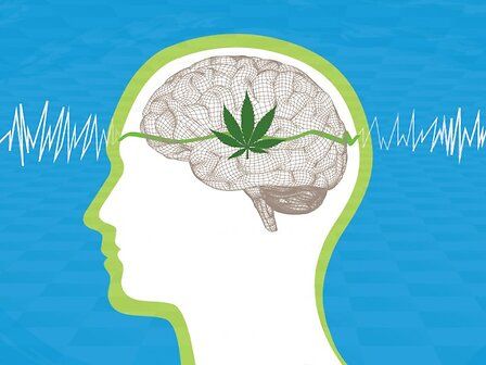 Cannabis ed epilessia refrattaria: &amp;quot;Significativa riduzione delle crisi convulsive&amp;quot;