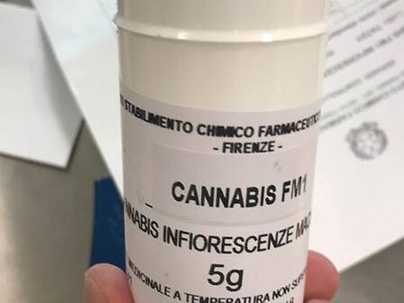 FM1: arriva in farmacia la cannabis italiana ad alto contenuto di THC