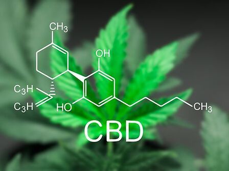 CBD: scoperto un nuovo meccanismo anticancro del cannabinoide