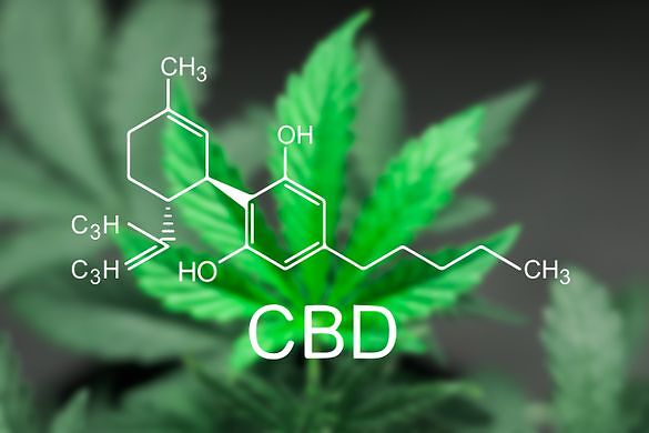 CBD: scoperto un nuovo meccanismo anticancro del cannabinoide
