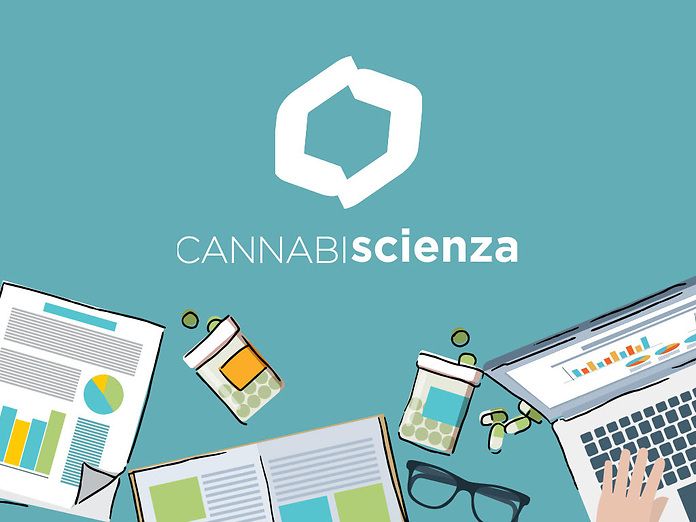Cannabiscienza: la formazione online sulla cannabis per i professionisti della salute
