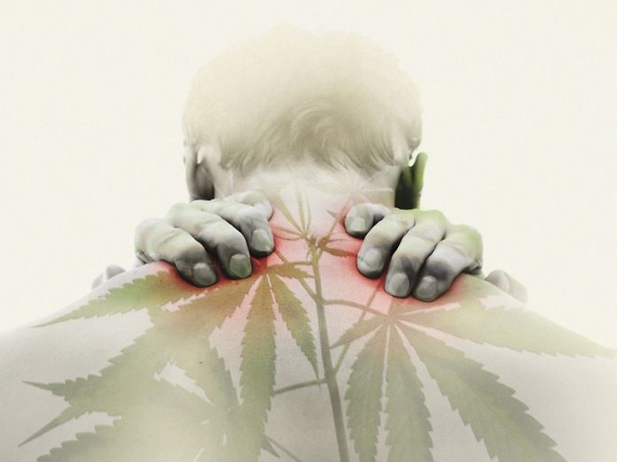 La cannabis è efficace nel dolore muscolo-scheletrico causato da fibromialgia