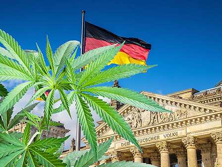 In Germania il governo seleziona produttori di cannabis medica, in Italia cosa aspettiamo?