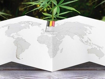 Belgio: nasce la commissione per produzione e prescrizione di cannabis medica