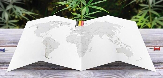 Belgio: nasce la commissione per produzione e prescrizione di cannabis medica