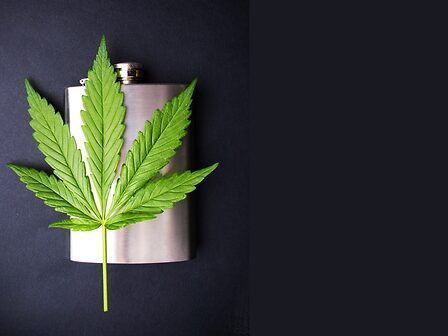 La cannabis mitiga l&amp;#039;infiammazione legata all&amp;#039;alcol