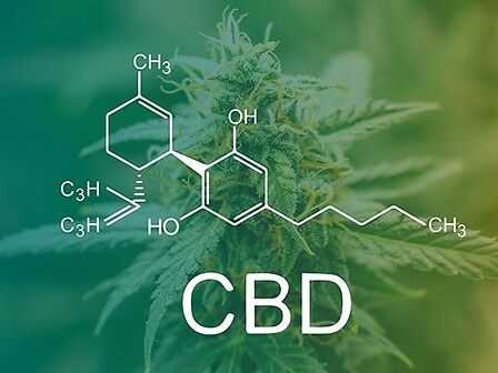 Le proprietà terapeutiche del CBD