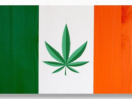 Irlanda: 5 anni di sperimentazione per la cannabis in medicina, gratis per i pazienti
