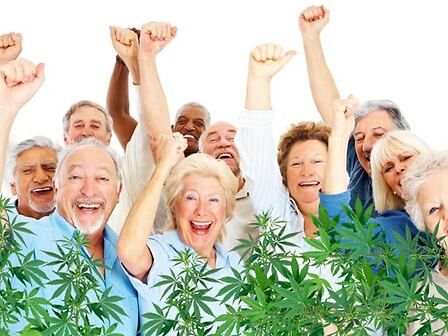 Cannabis e anziani: cresce l&amp;#039;utilizzo medico degli over 65 per diverse patologie