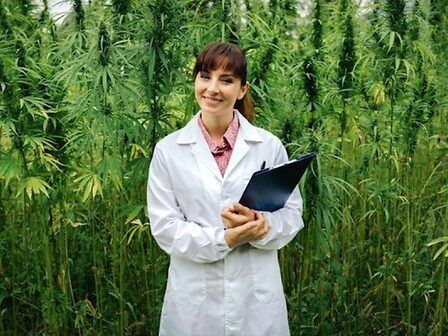 Israele e USA: i corsi di laurea in cannabis medica per i professionisti del futuro