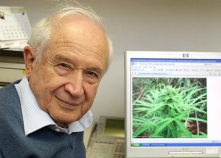 Lotta al cancro: la speranza della cannabis in uno studio guidato da Raphael Mechoulam