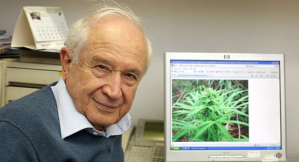 Lotta al cancro: la speranza della cannabis in uno studio guidato da Raphael Mechoulam