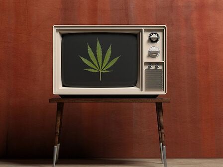 La cannabis medica approda in televisione con il format “Questa è cannabis”