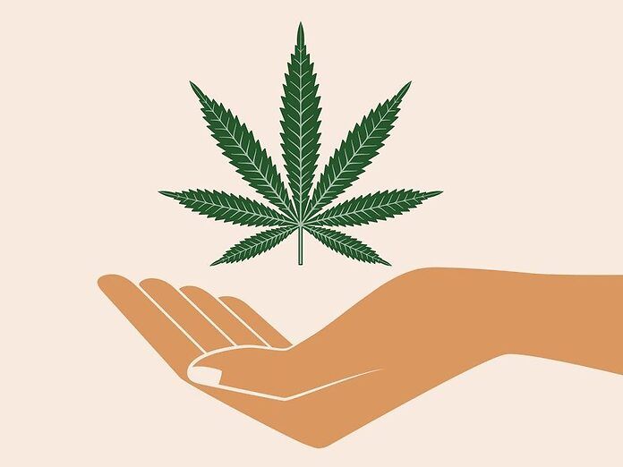 Cancro e cannabis: il CBD colpisce direttamente i mitocondri delle cellule tumorali per ucciderle