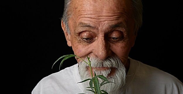 La cannabis fa bene agli anziani per vari sintomi, dal dolore al Parkinson