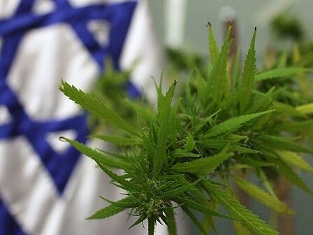 Israele: al via l&amp;#039;import export di cannabis medica