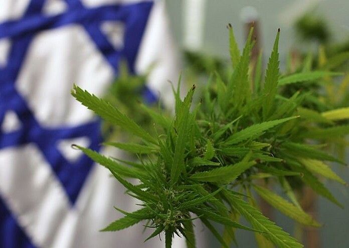Israele: al via l&#039;import export di cannabis medica