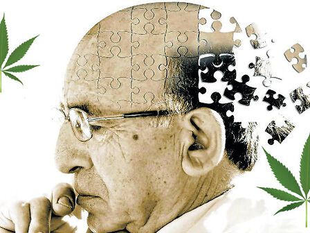 Cannabis per trattare Alzheimer e demenza: al via una sperimentazione in Australia