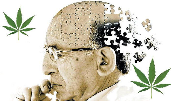 Cannabis per trattare Alzheimer e demenza: al via una sperimentazione in Australia