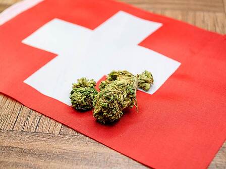 La Svizzera vuole rendere più semplice l&amp;#039;accesso alla cannabis medica e iniziare ad esportarla