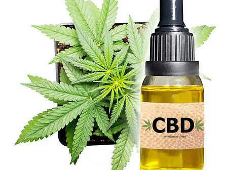 CBD oil: una panoramica sullo stato dell’arte del mercato