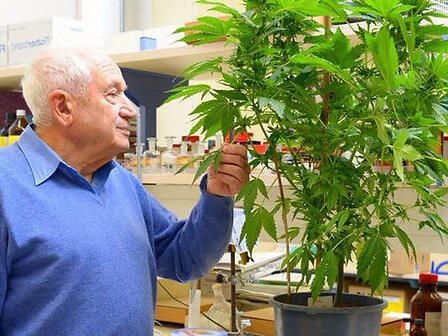 EPM301: il cannabinoide sintetico in forma acida, dalle molteplici proprietà, creato da Mechoulam