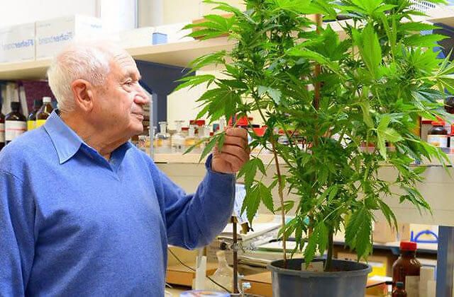 EPM301: il cannabinoide sintetico in forma acida, dalle molteplici proprietà, creato da Mechoulam