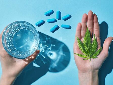 I componenti della cannabis come efficaci nuovi antibiotici naturali contro i batteri resistenti