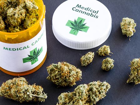 Il corso di perfezionamento sulla cannabis medicinale dell&amp;#039;Università di Padova alla quarta edizione