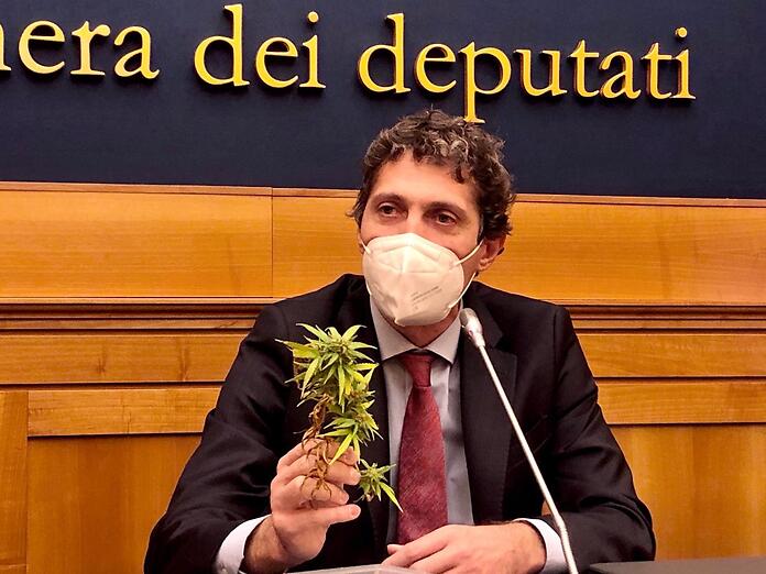 Cede la cannabis a un paziente e si autodenuncia: l&#039;iniziativa di Riccardo Magi