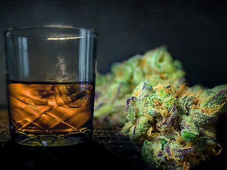 La cannabis porta a una significativa riduzione dell&amp;#039;uso di alcol secondo un&amp;#039;ampio studio