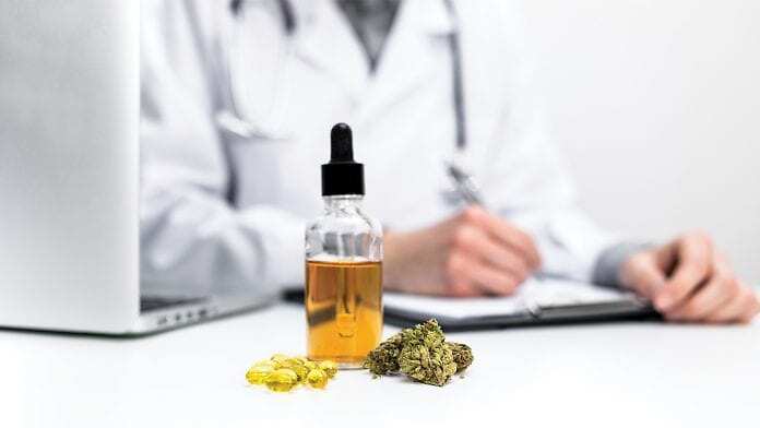 Cannabis e prescrizione: 3 medici su 4 hanno una scarsa o nessuna conoscenza della materia