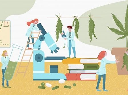 Plant Molecular Farming: la cannabis come mini-fabbrica verde per creare biomolecole