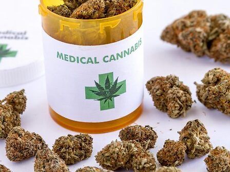 Quali sono le infiorescenze di cannabis medicale disponibili in Italia?