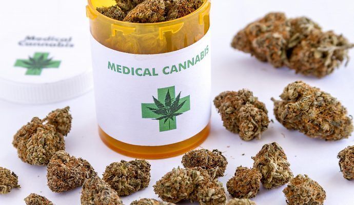 Quali sono le infiorescenze di cannabis medicale disponibili in Italia?