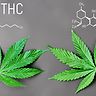 Qual è la differenza tra THC e CBD?