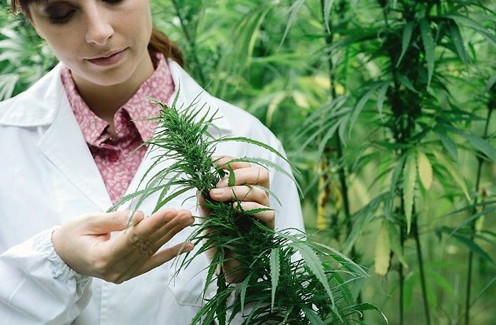 Donne, cannabis e ciclo: l&#039;aiuto che non ti aspetti contro crampi e dolori mestruali